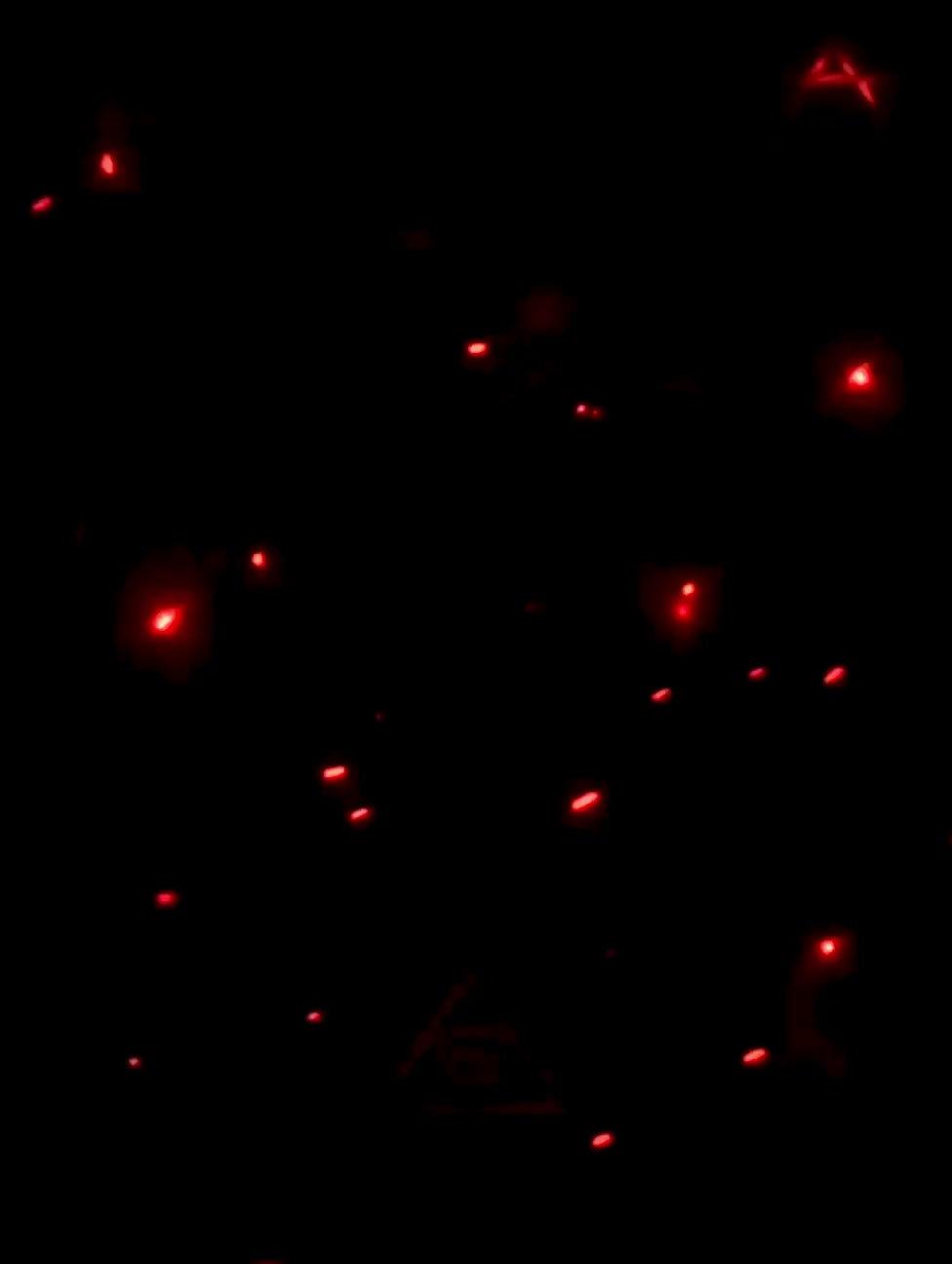 Video de Belzebú Wave 3: figura de vinilo rojo y negro con detalles de la escultura y acabado brillante.