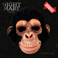 Chimp George