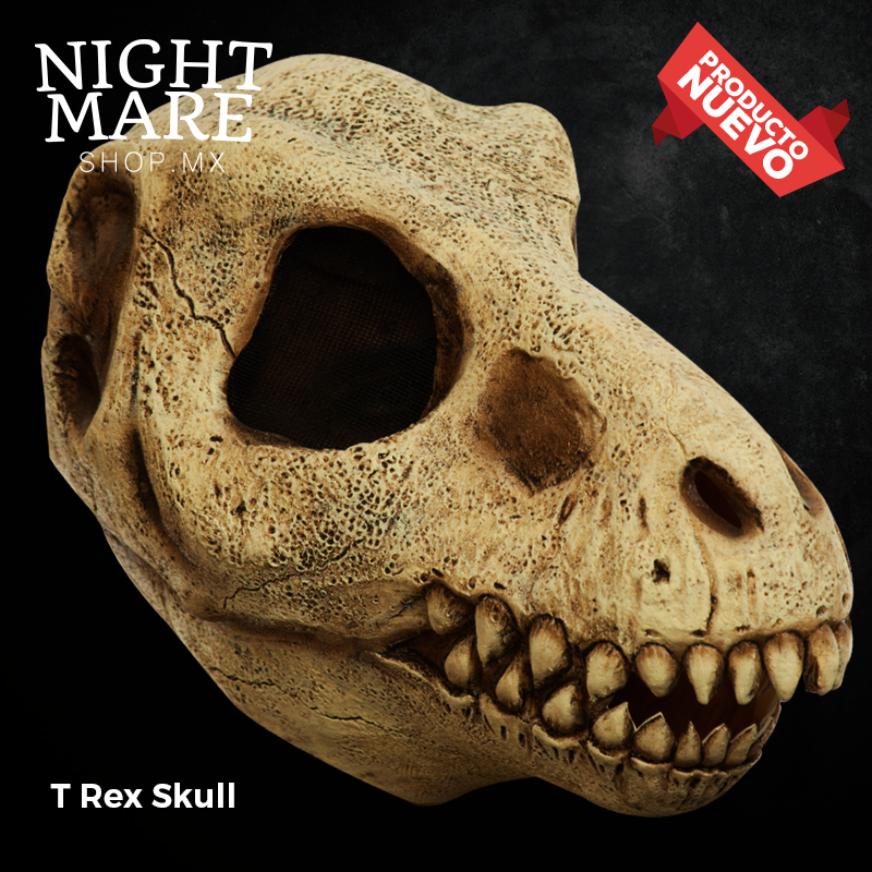 T-Rex Skull