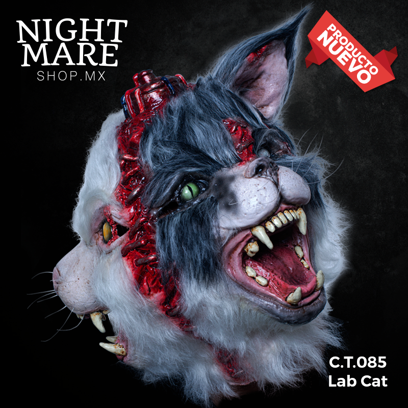 C.T.085 Lab Cat