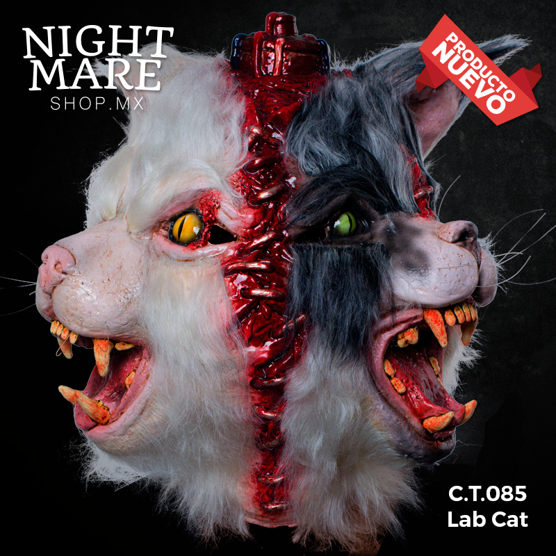 C.T.085 Lab Cat