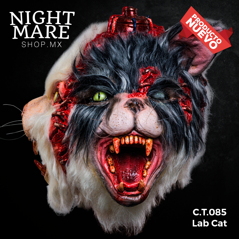 C.T.085 Lab Cat