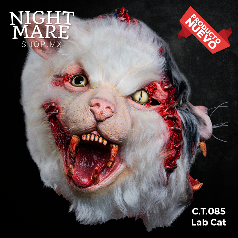 C.T.085 Lab Cat